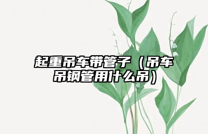 起重吊車帶管子（吊車吊鋼管用什么吊）