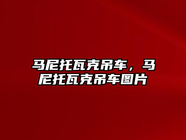 馬尼托瓦克吊車，馬尼托瓦克吊車圖片