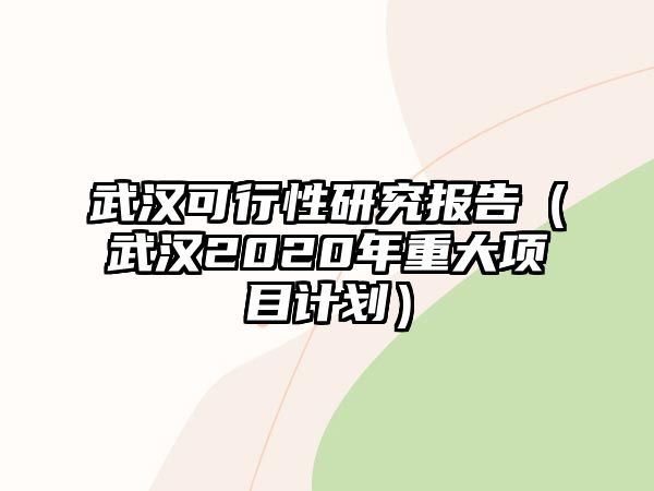 武漢可行性研究報告（武漢2020年重大項目計劃）