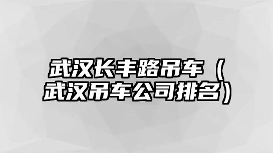 武漢長(zhǎng)豐路吊車(chē)（武漢吊車(chē)公司排名）