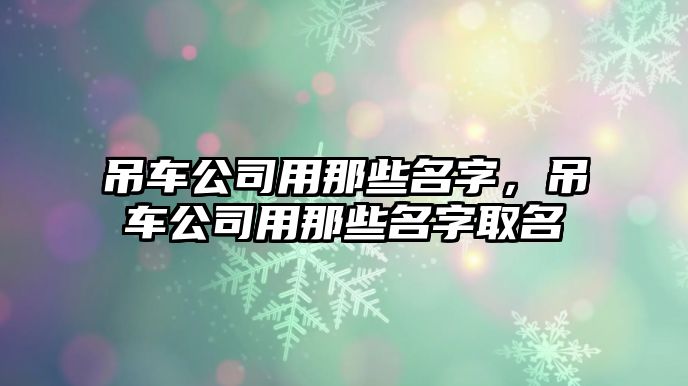吊車公司用那些名字，吊車公司用那些名字取名
