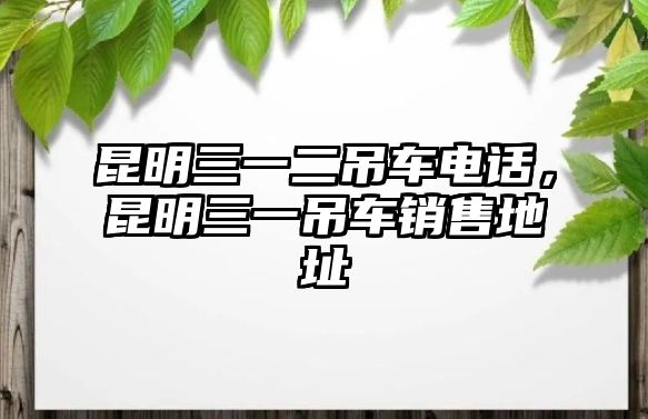 昆明三一二吊車(chē)電話，昆明三一吊車(chē)銷(xiāo)售地址