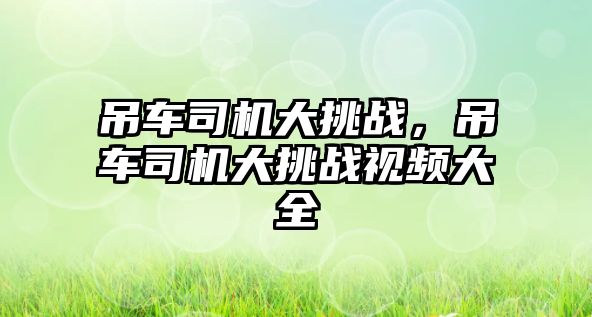 吊車司機(jī)大挑戰(zhàn)，吊車司機(jī)大挑戰(zhàn)視頻大全