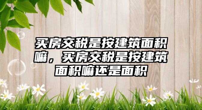 買房交稅是按建筑面積嘛，買房交稅是按建筑面積嘛還是面積