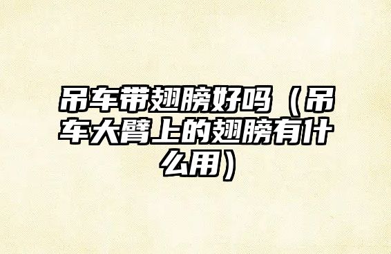吊車帶翅膀好嗎（吊車大臂上的翅膀有什么用）