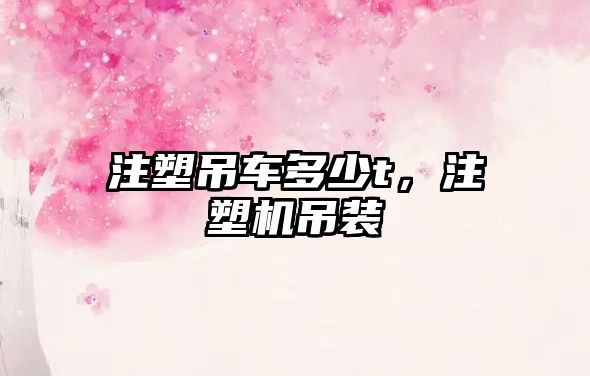 注塑吊車多少t，注塑機吊裝