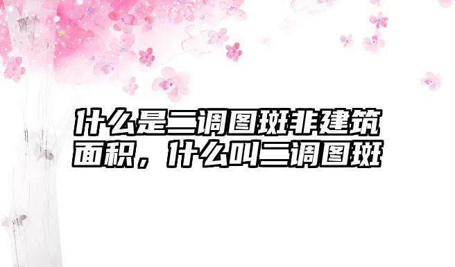 什么是二調圖斑非建筑面積，什么叫二調圖斑
