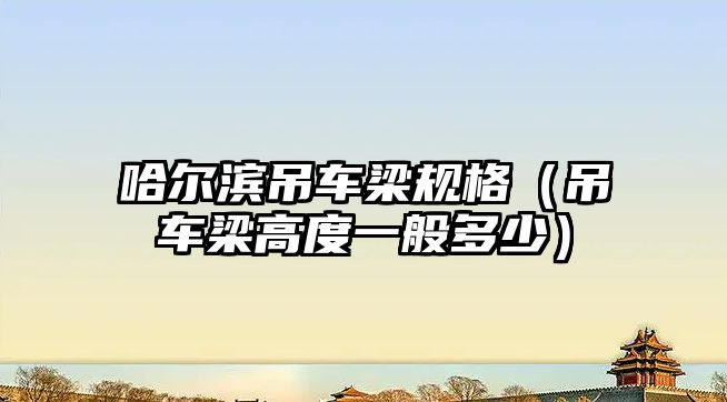 哈爾濱吊車(chē)梁規(guī)格（吊車(chē)梁高度一般多少）