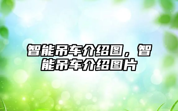 智能吊車介紹圖，智能吊車介紹圖片
