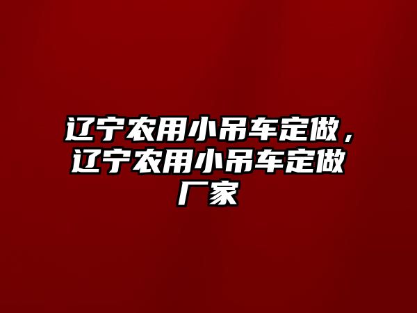 遼寧農(nóng)用小吊車定做，遼寧農(nóng)用小吊車定做廠家