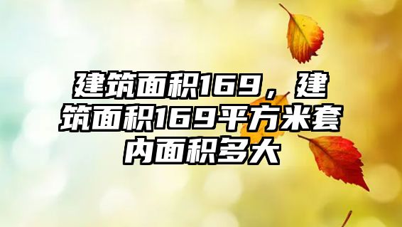 建筑面積169，建筑面積169平方米套內(nèi)面積多大